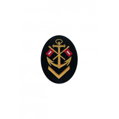 Tunic pactch NCO senior signal career sleeve insignia