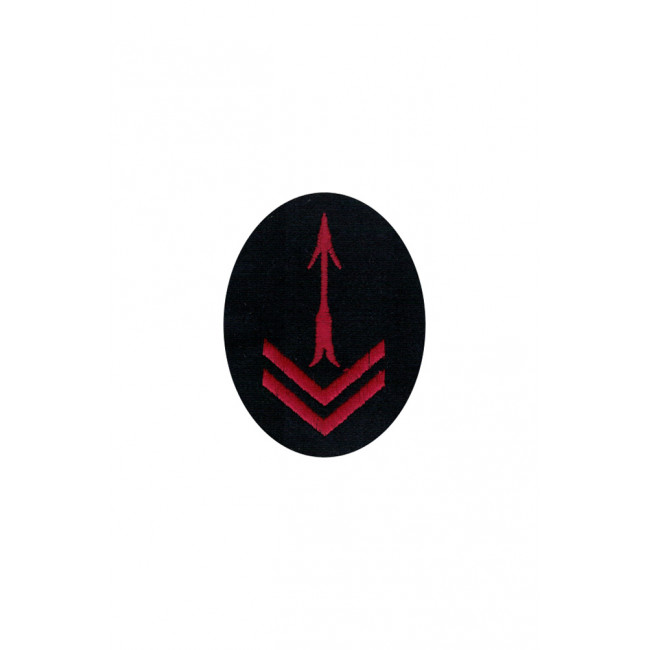 Tunic pactch AA  search light controller specialty trade insignia
