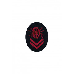 Tunic pactch Electric technics grade II specialty trade insignia