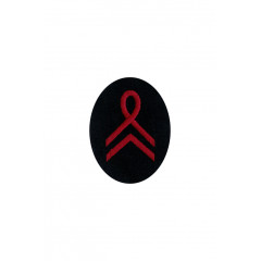 Tunic pactch Member of drum and fife corps specialty trade insignia